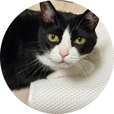 Mochi, a black-and-white tuxedo cat, resting her chin on a white mat and looking at the camera