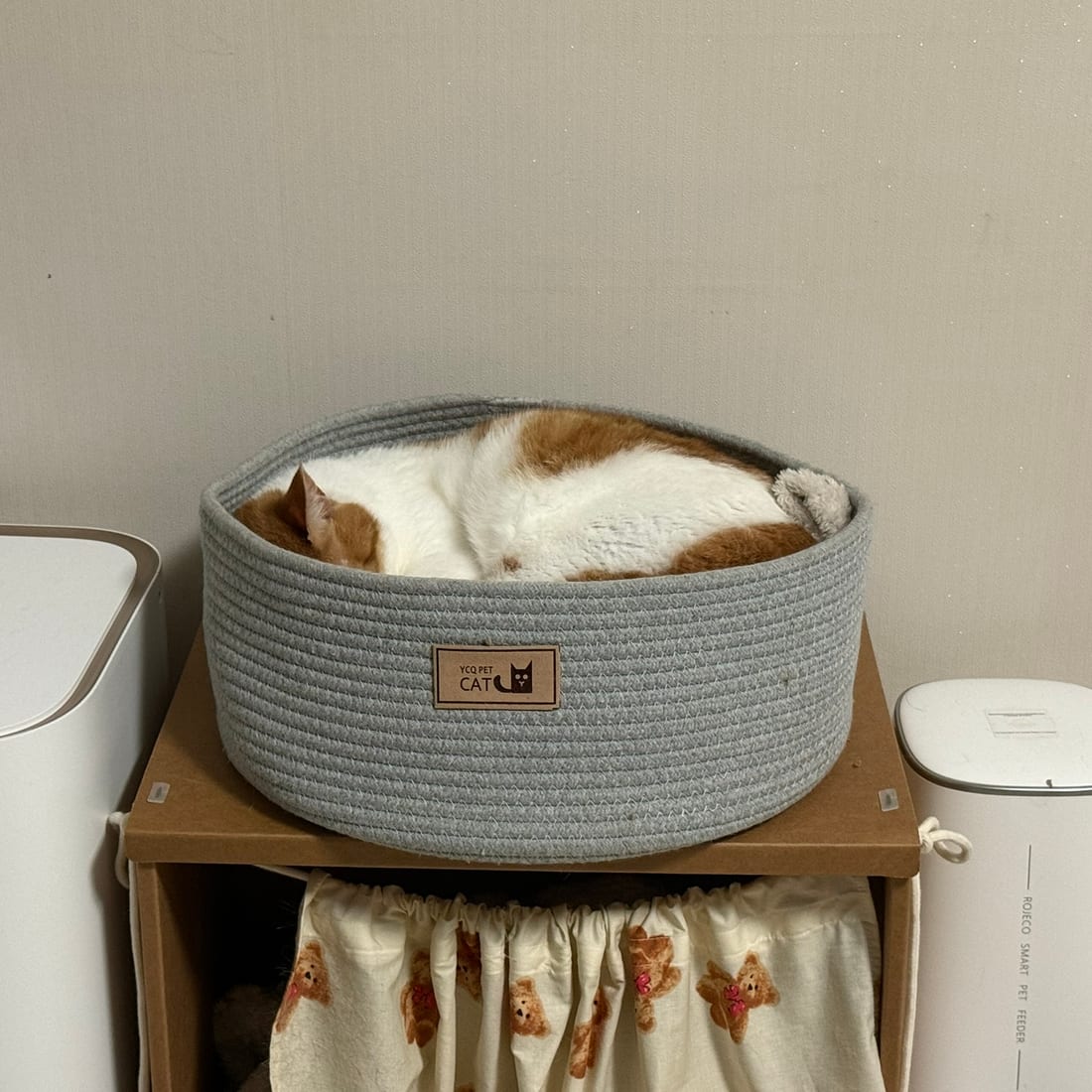 Yuja, an orange and white cat, curled up asleep in a round rope basket bed